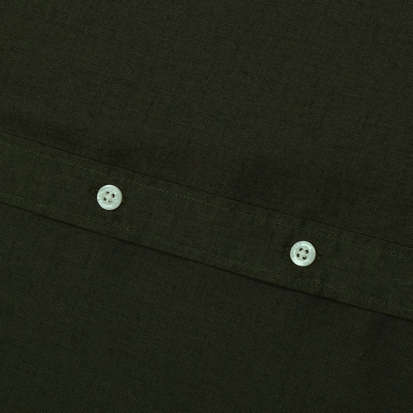 POLO RALPH LAUREN Enchanted Forest Classic Fit Long Sleeve Button-Up Shirt